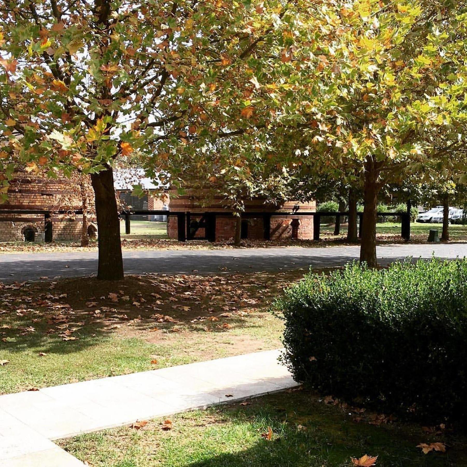 Potters Apartments Cessnock Exterior foto