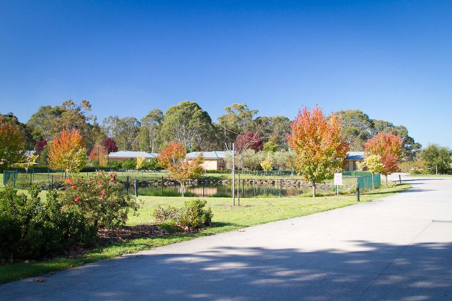 Potters Apartments Cessnock Exterior foto